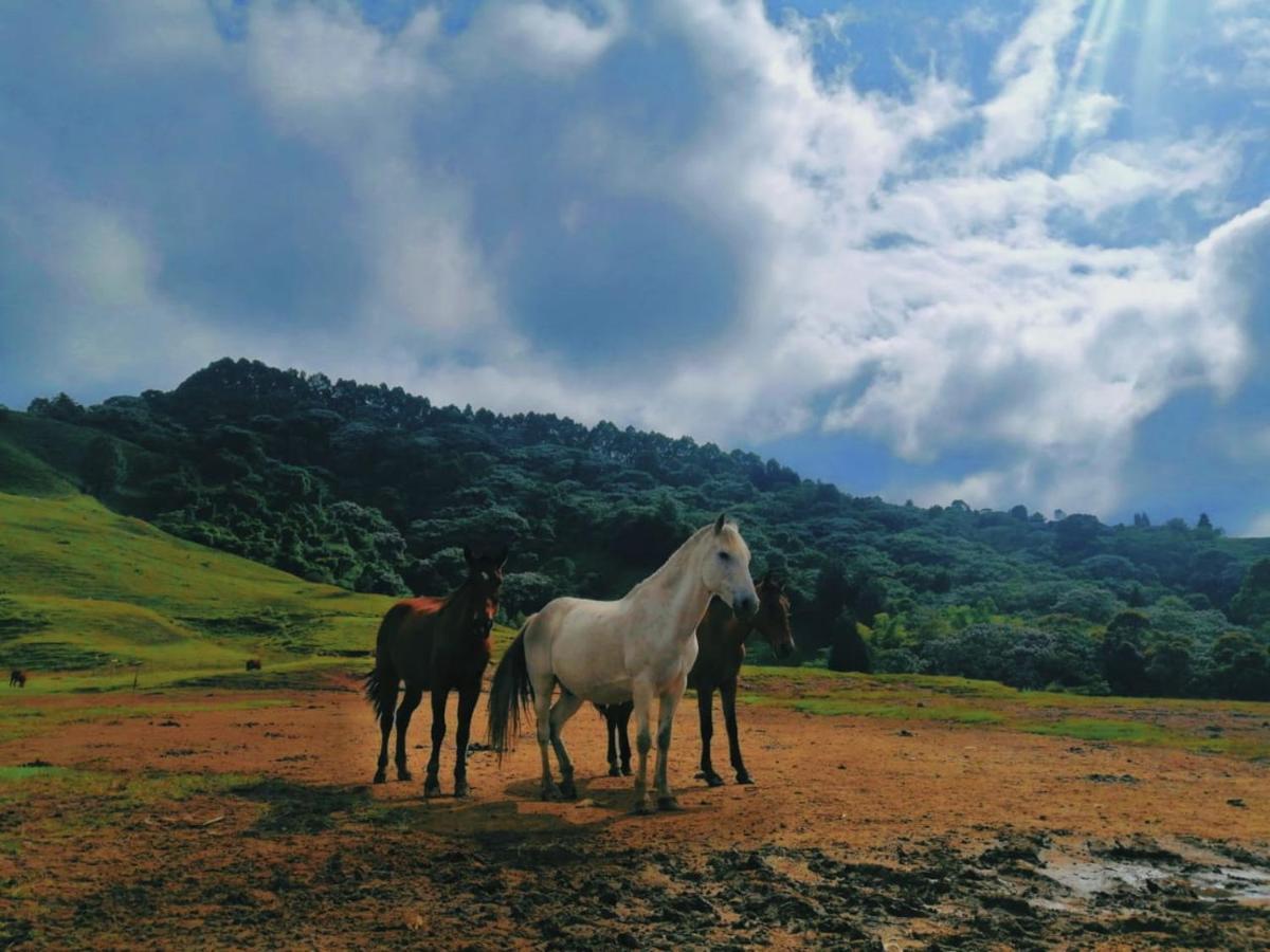 Finca Recreacional Marcelandia Santa Rosa de Cabal Ngoại thất bức ảnh