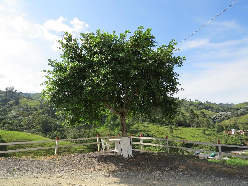 Finca Recreacional Marcelandia Santa Rosa de Cabal Ngoại thất bức ảnh