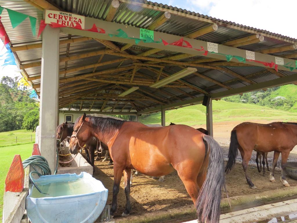 Finca Recreacional Marcelandia Santa Rosa de Cabal Ngoại thất bức ảnh